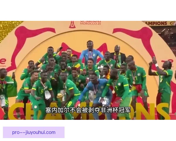 尼日利亚痛失非洲杯冠军屈居亚军遗憾难掩辉煌表现
