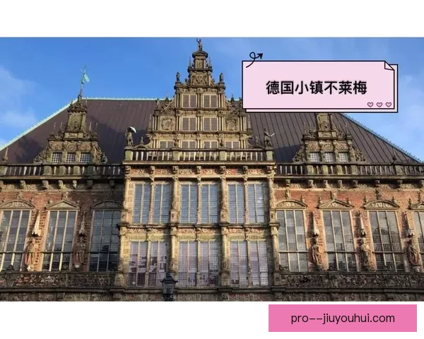 不莱梅球场启建德国最大光伏阵列引领绿色能源体育场新时代🌞⚽